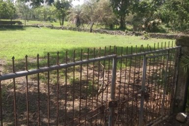 Agricultural Properties