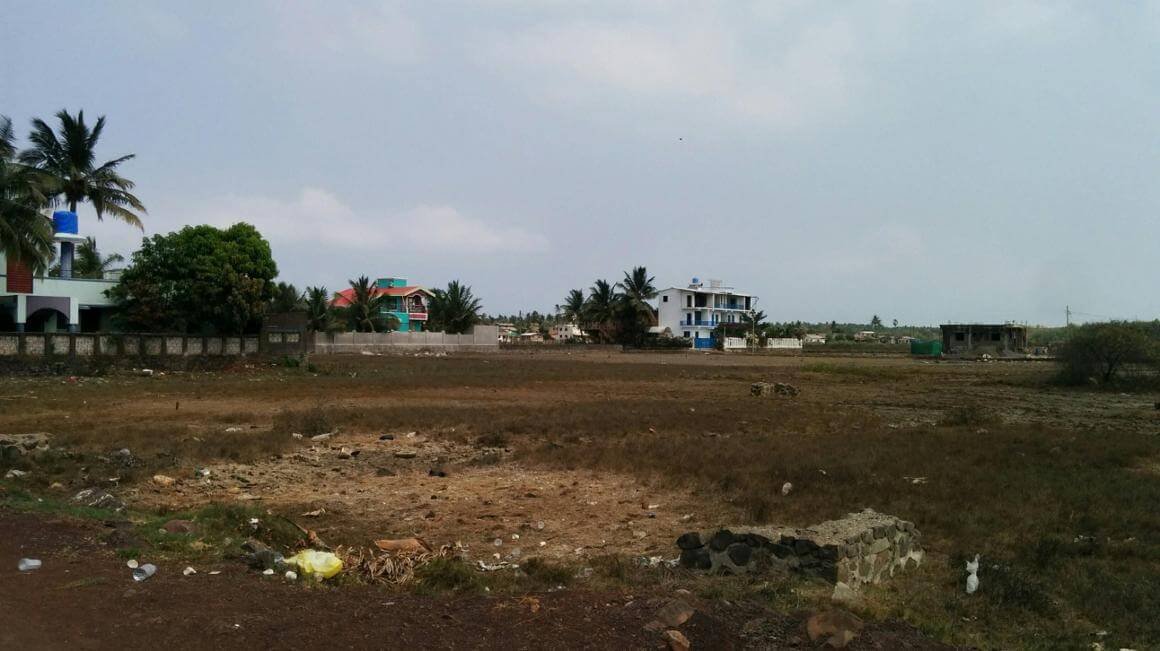 Land Investment